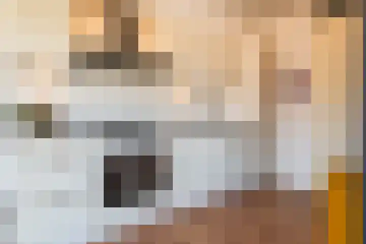 Essenlaan 32 d Sassenheim thumbnail 22