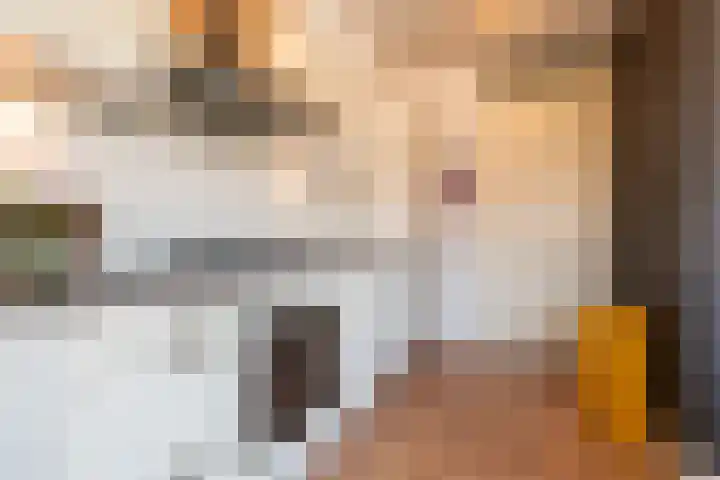 Essenlaan 32 d Sassenheim thumbnail 23