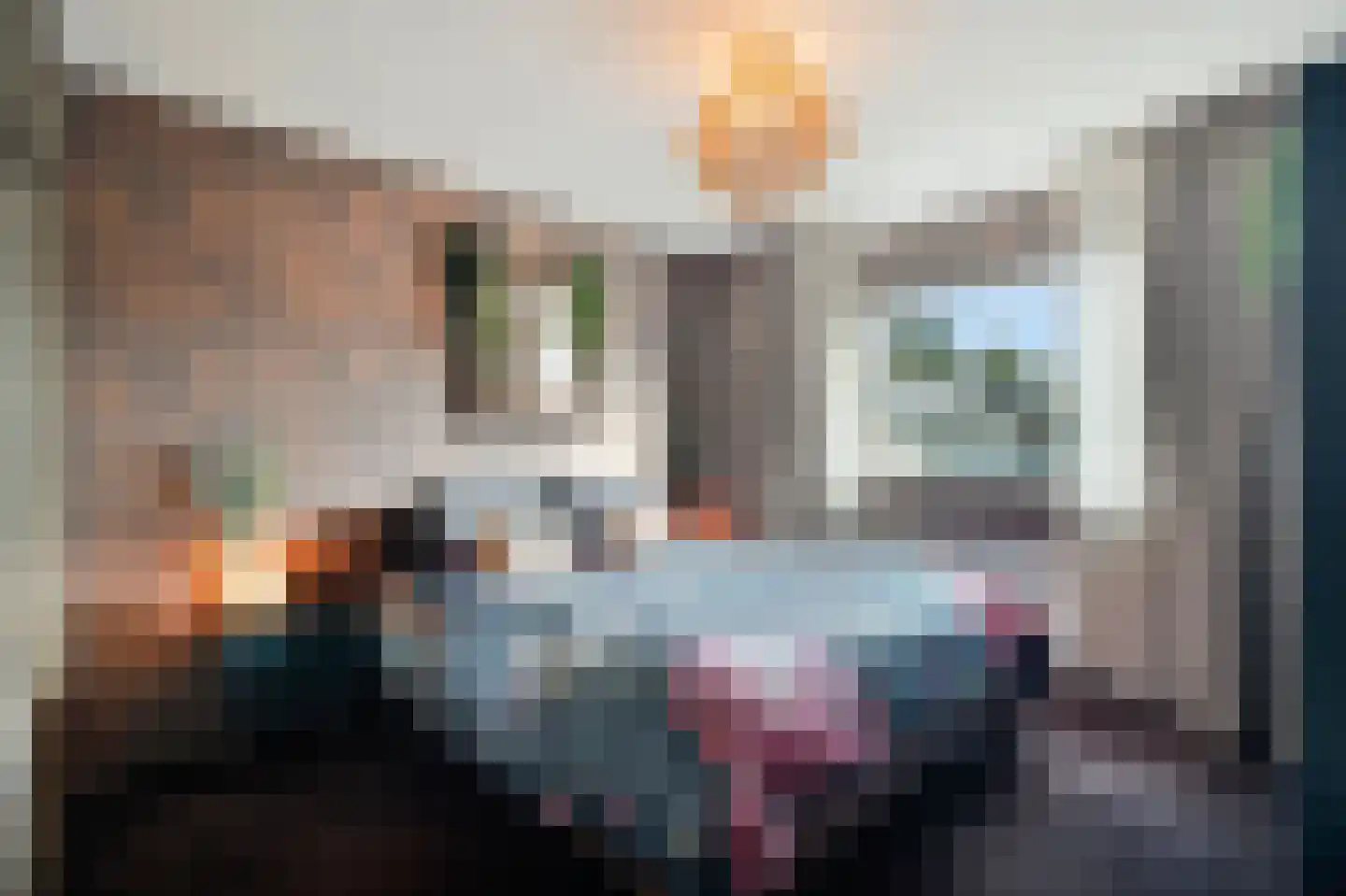 Essenlaan 38 Schagen thumbnail 28