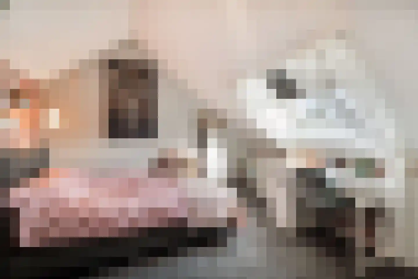 Essenlaan 38 Schagen thumbnail 39