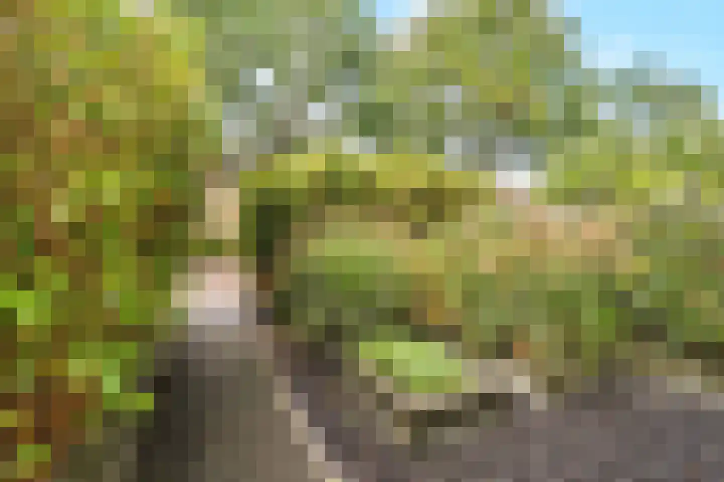 Essenlaan 38 Schagen thumbnail 41