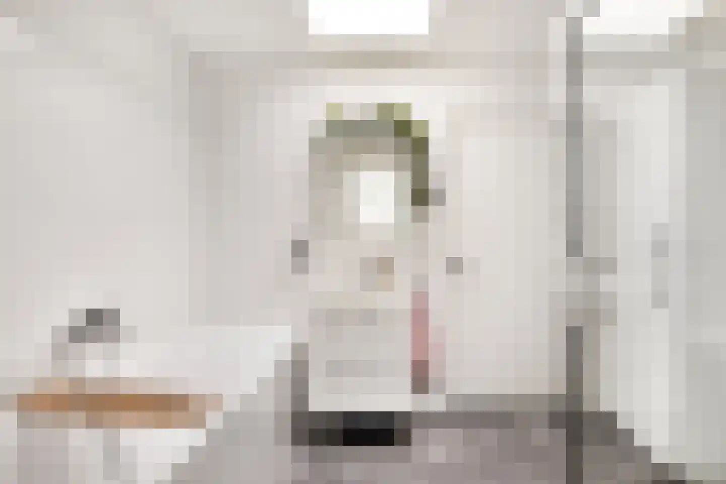 Essenlaan 41 Zwanenburg thumbnail 16