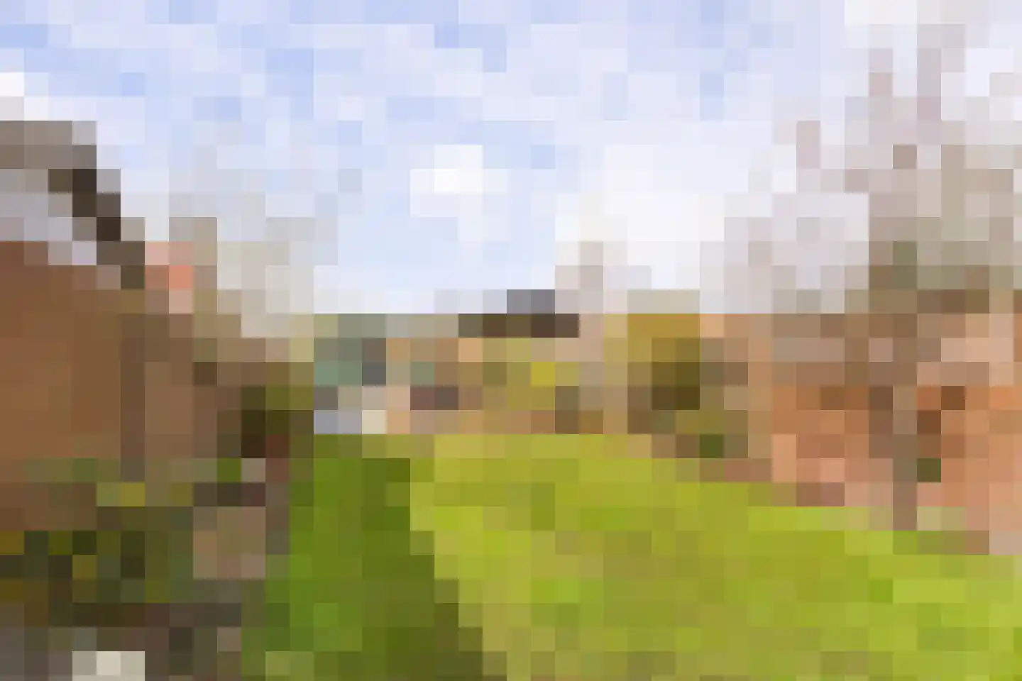 Essenlaan 41 Zwanenburg thumbnail 22