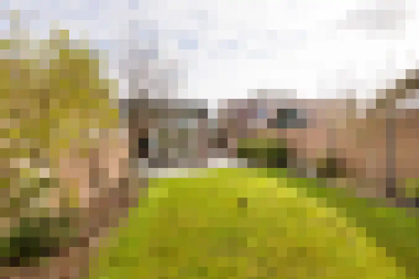 Essenlaan 41 Zwanenburg thumbnail 26