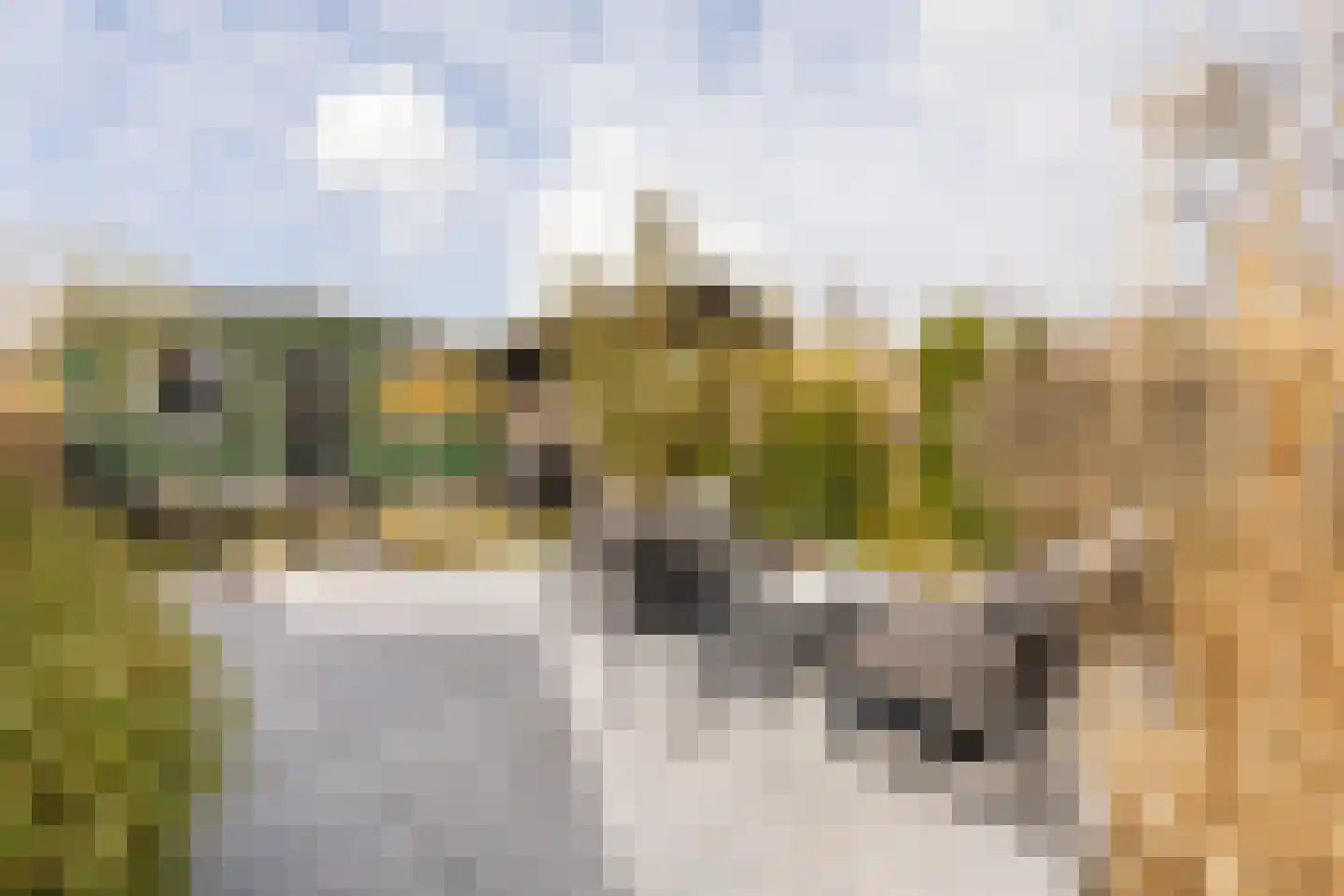 Essenlaan 41 Zwanenburg thumbnail 27
