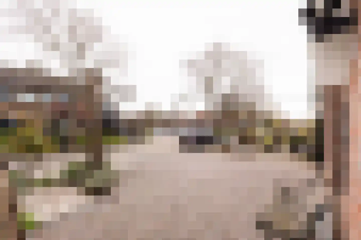 Essenlaan 41 Zwanenburg thumbnail 33
