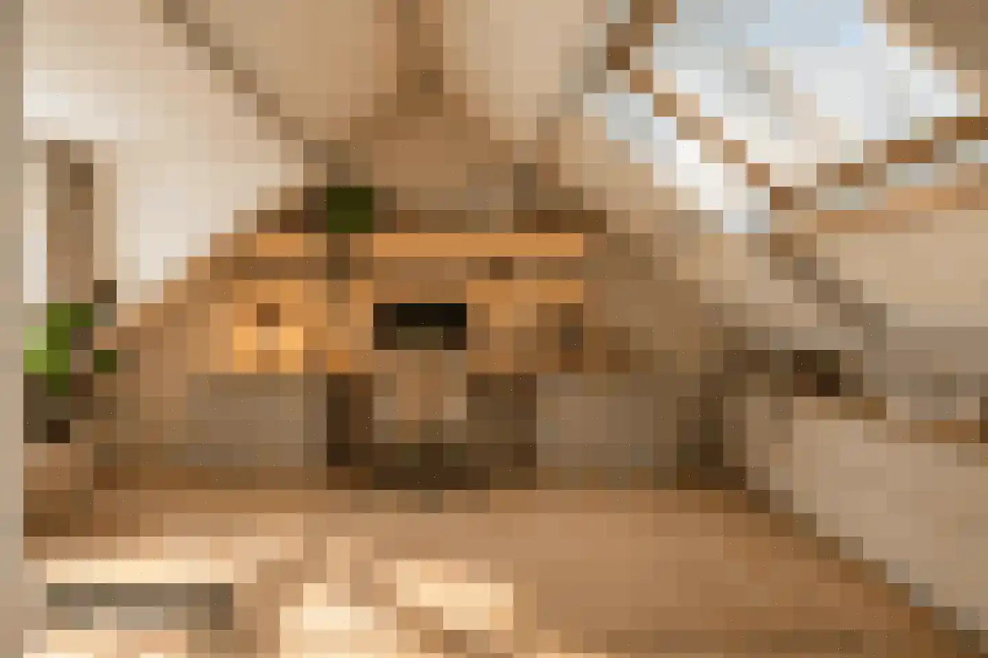 Essenlaan 44 Schagen thumbnail 33