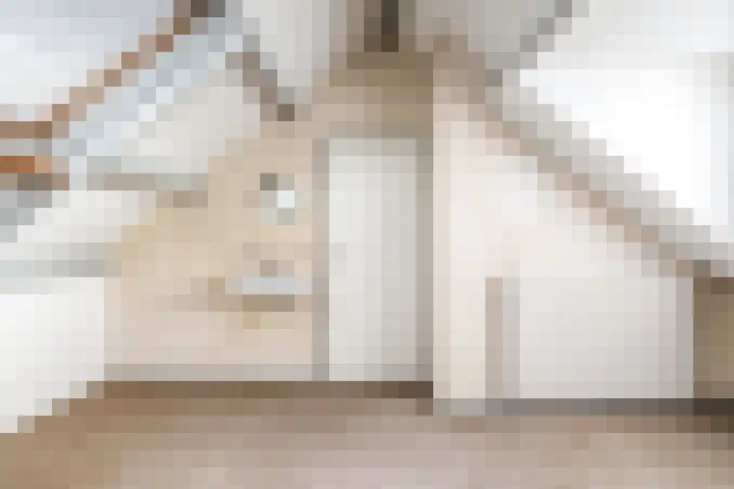 Essenlaan 44 Schagen thumbnail 34