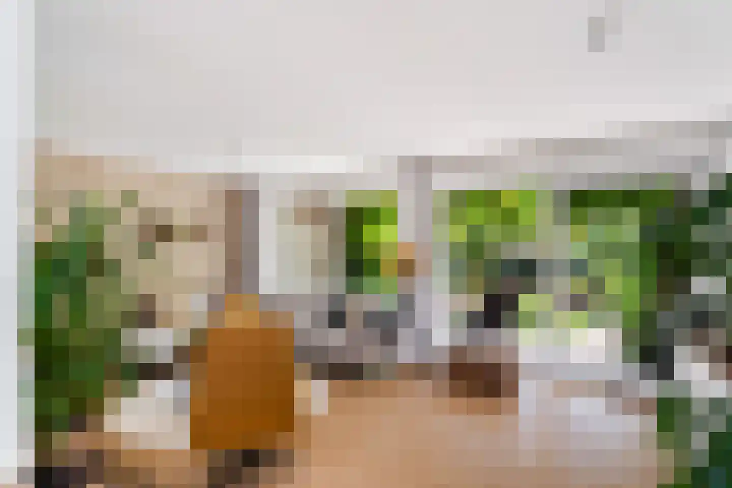 Essenlaan 51 Woerden thumbnail 10