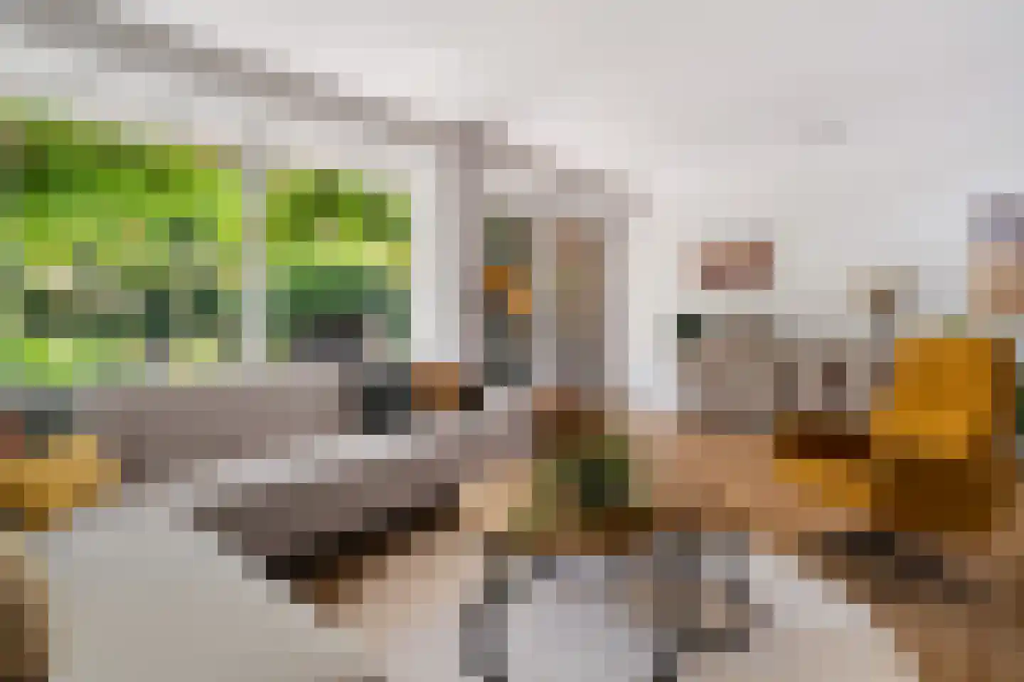 Essenlaan 51 Woerden thumbnail 11