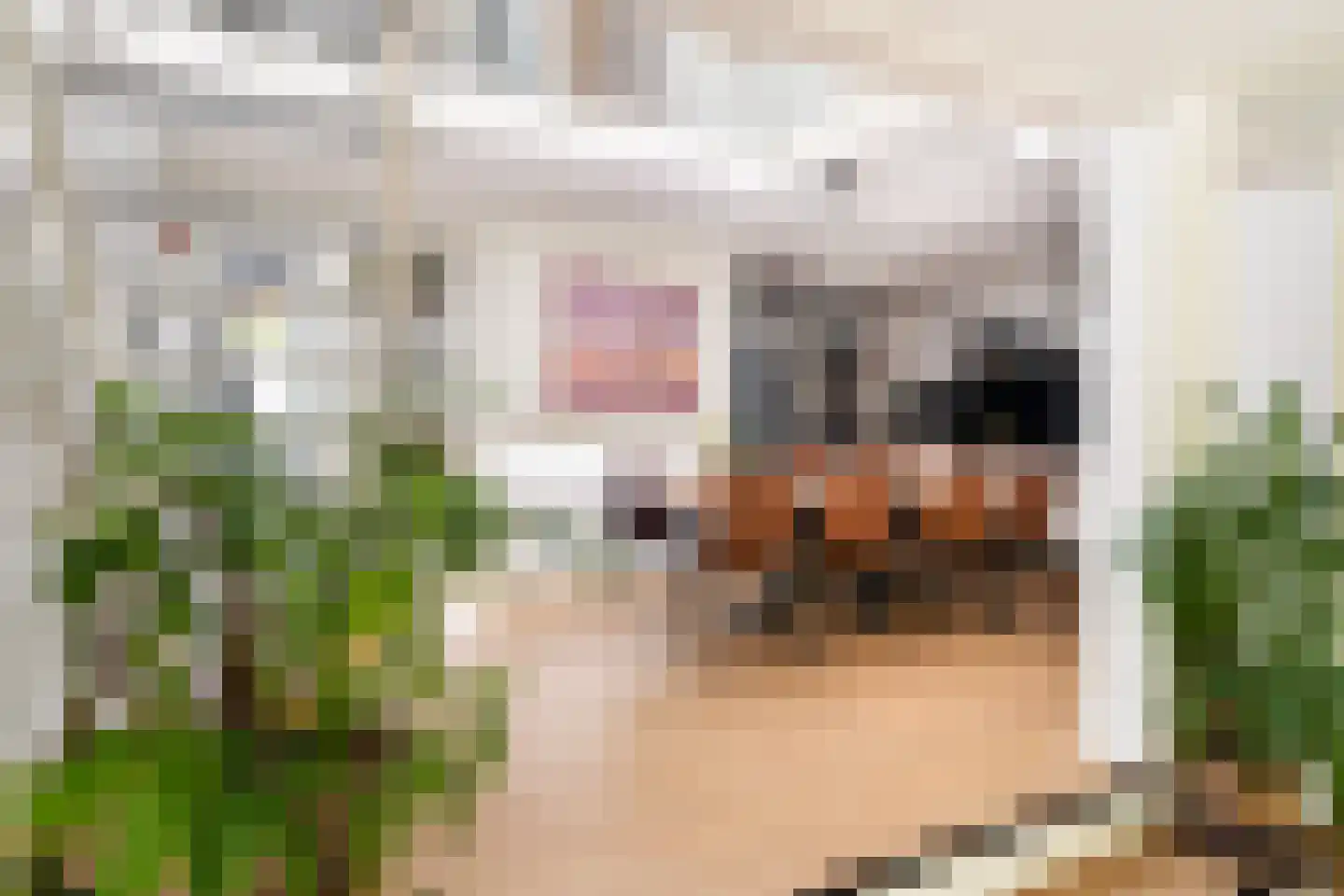 Essenlaan 51 Woerden thumbnail 14
