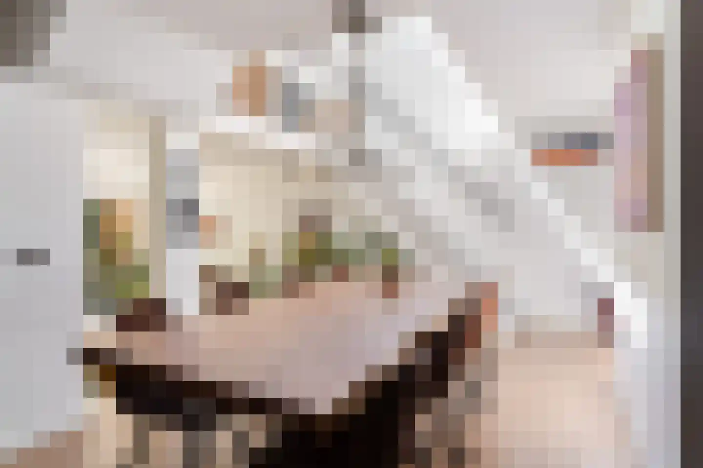 Essenlaan 51 Woerden thumbnail 15