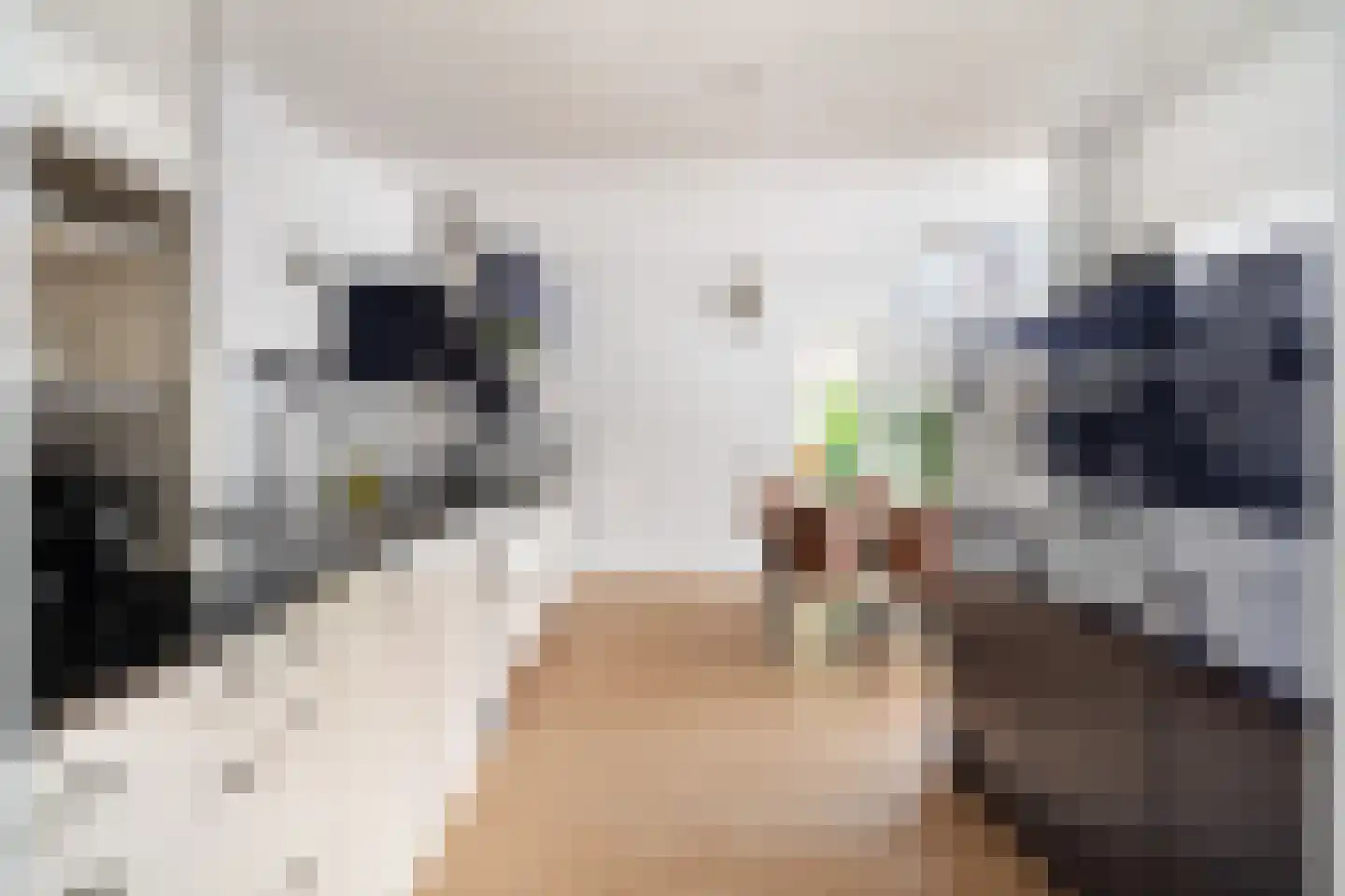 Essenlaan 51 Woerden thumbnail 17