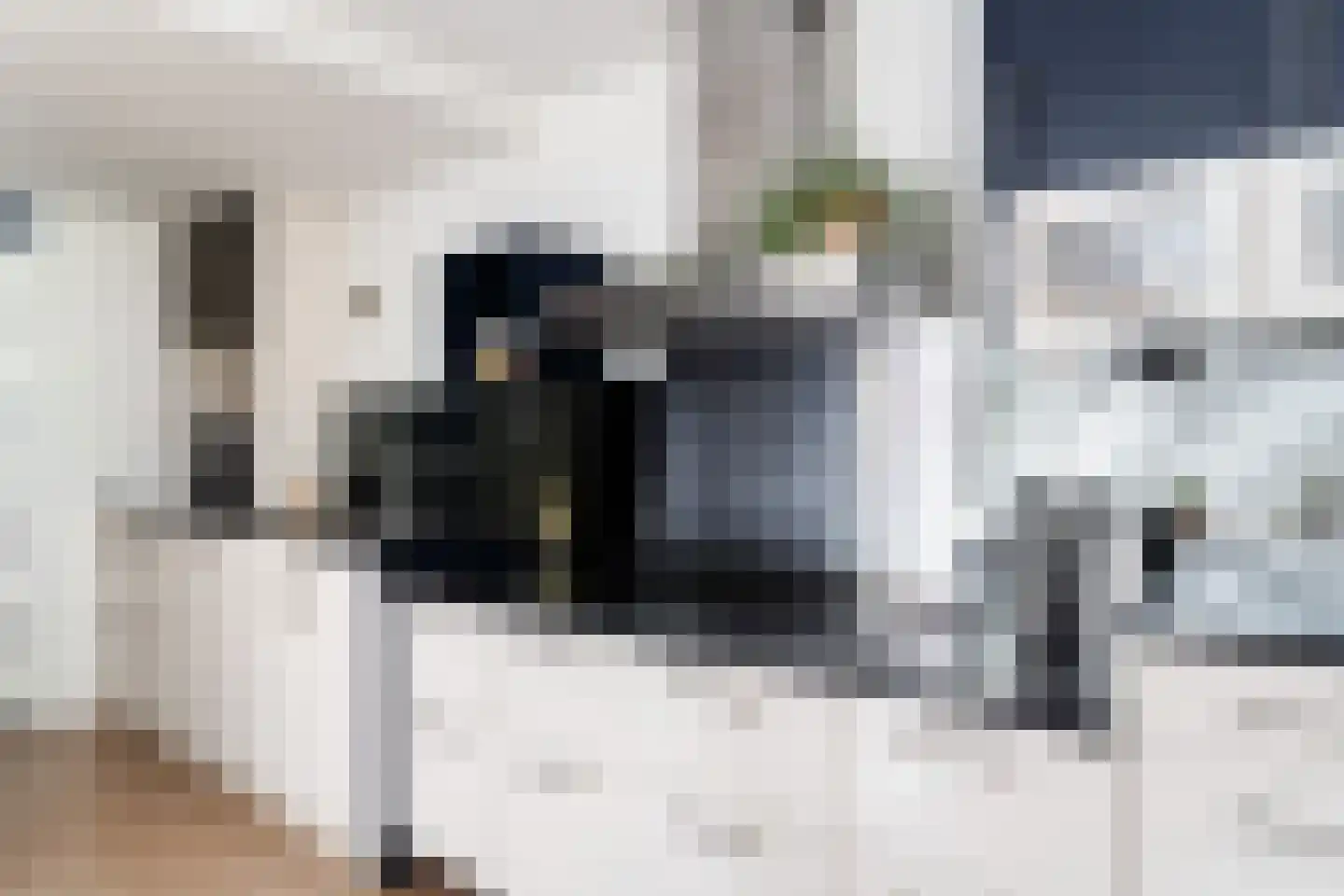 Essenlaan 51 Woerden thumbnail 21