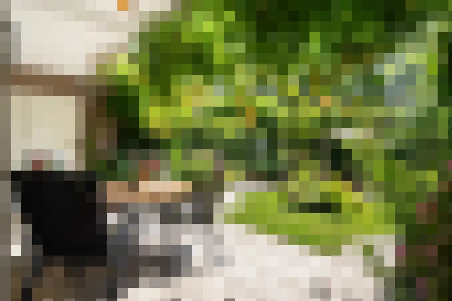 Essenlaan 51 Woerden thumbnail 24