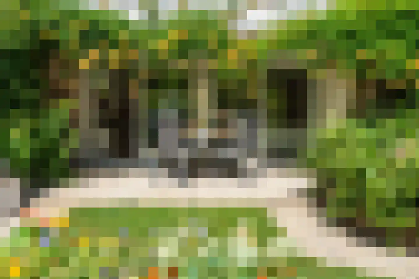 Essenlaan 51 Woerden thumbnail 27