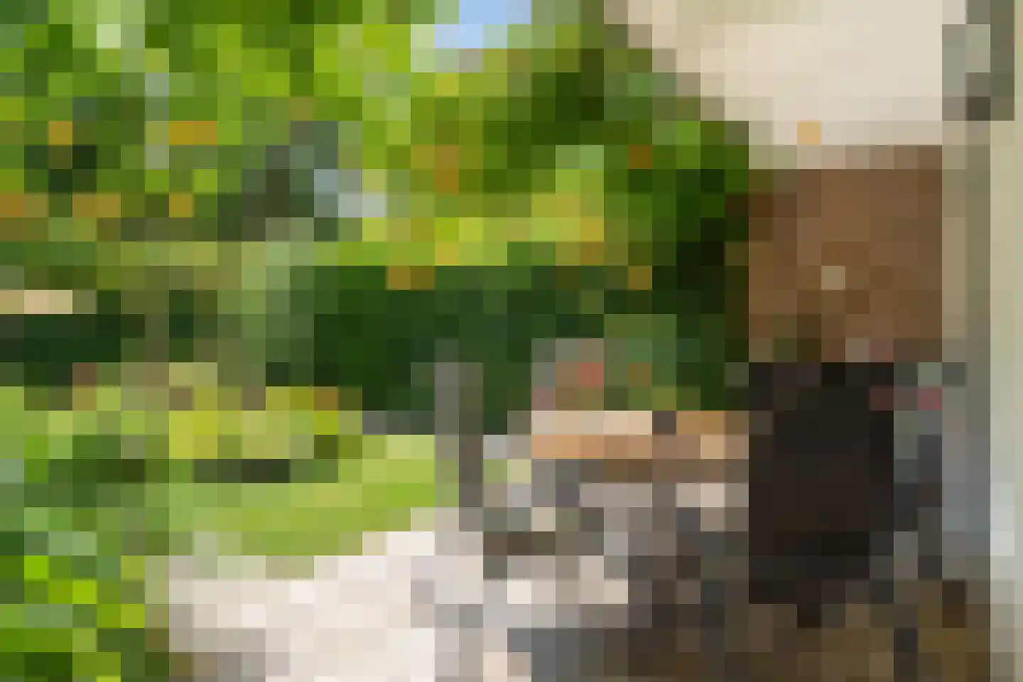 Essenlaan 51 Woerden thumbnail 28
