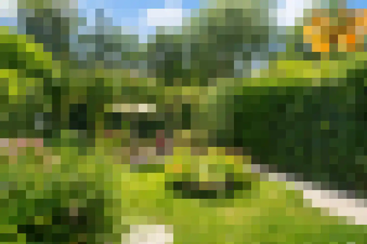 Essenlaan 51 Woerden thumbnail 29