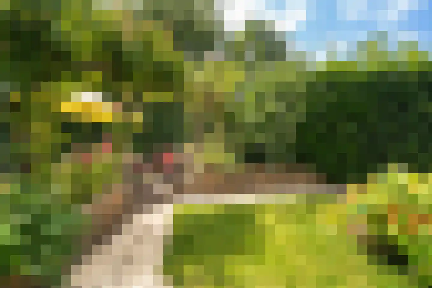 Essenlaan 51 Woerden thumbnail 31