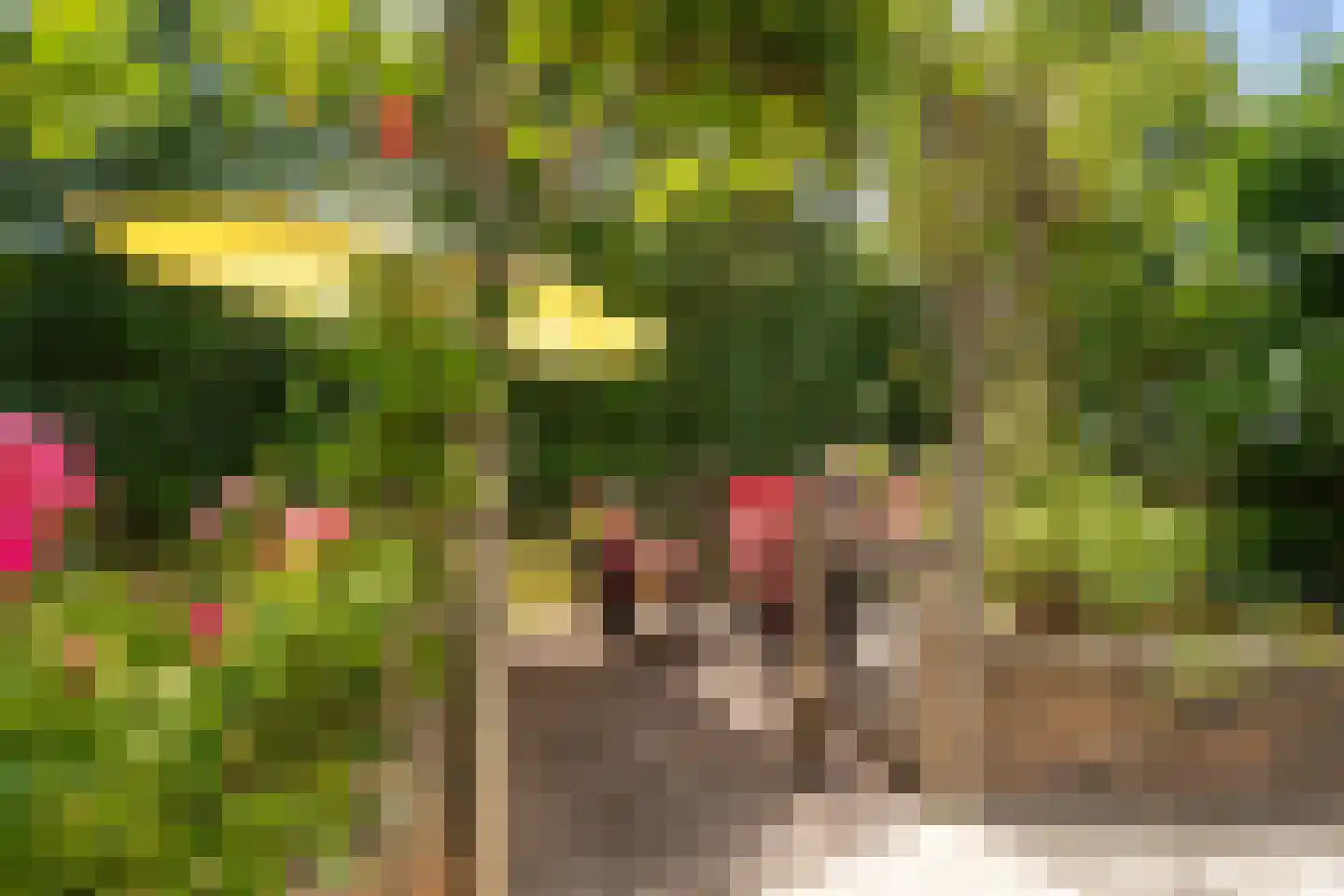 Essenlaan 51 Woerden thumbnail 32