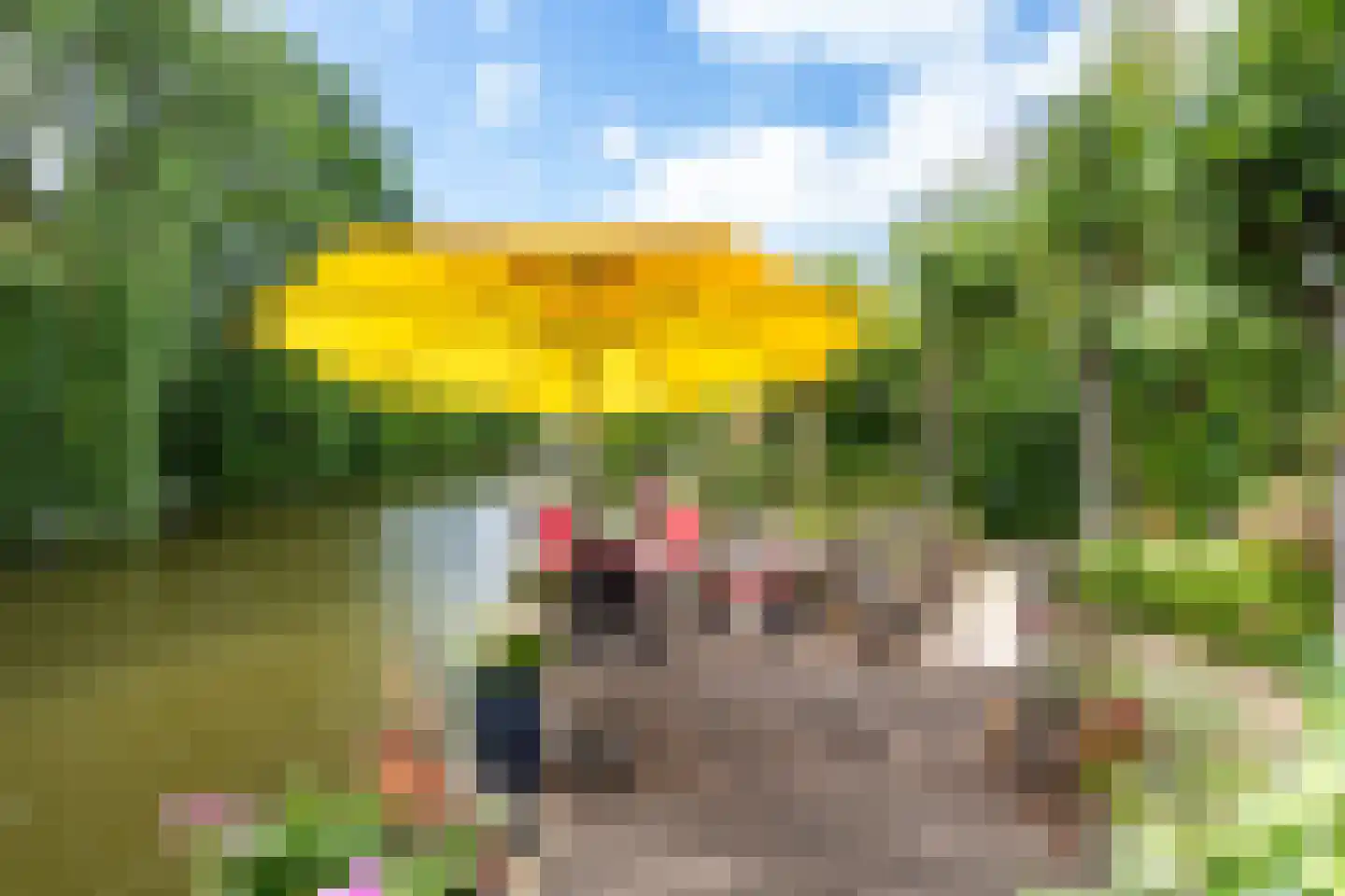 Essenlaan 51 Woerden thumbnail 33