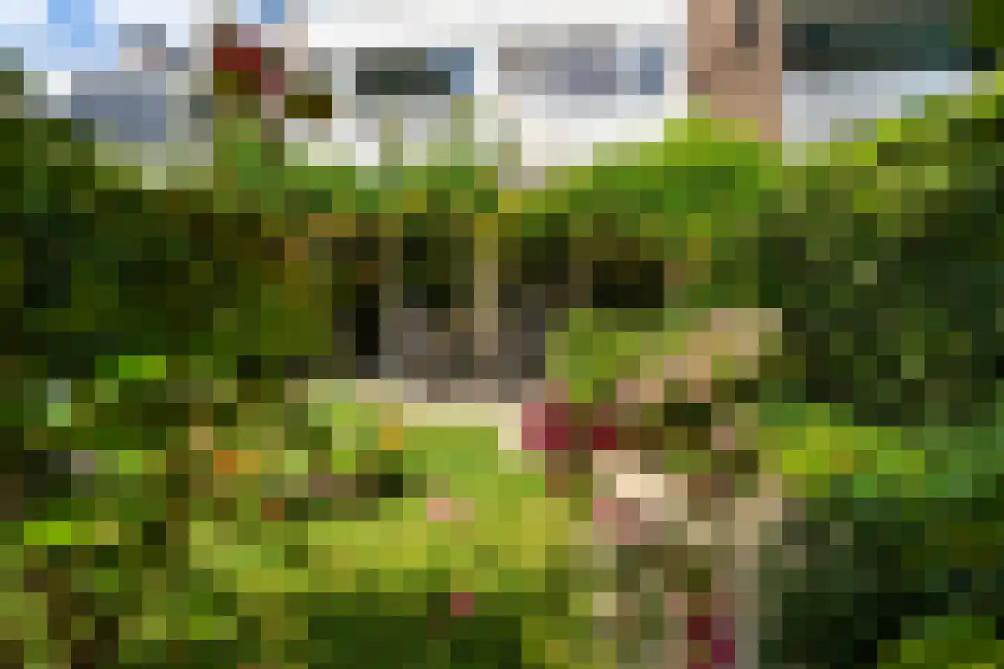Essenlaan 51 Woerden thumbnail 35
