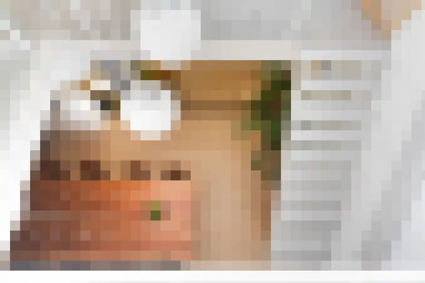 Essenlaan 51 Woerden thumbnail 43
