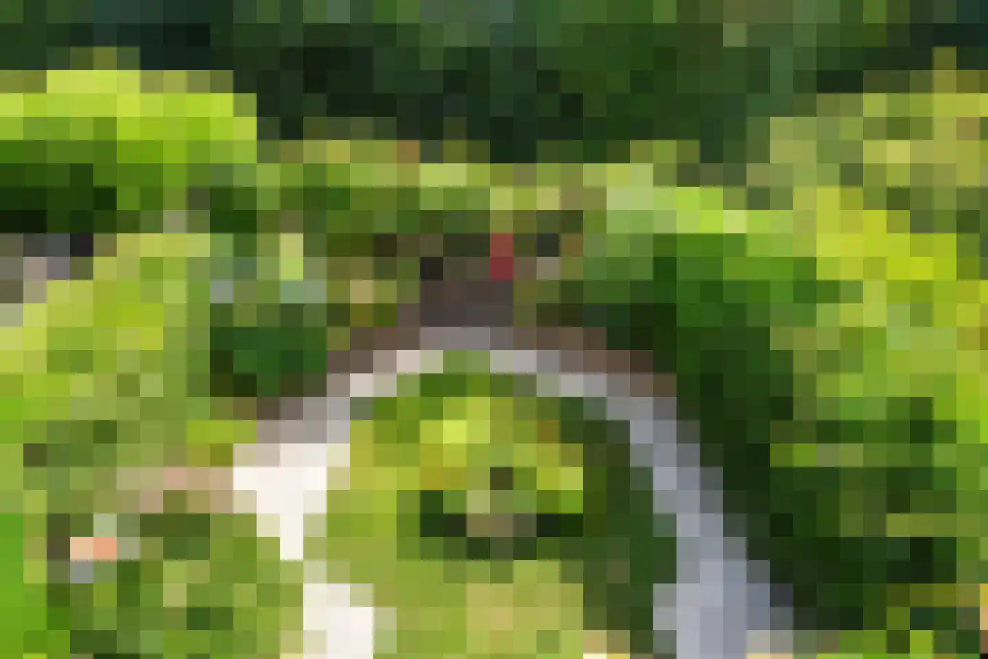 Essenlaan 51 Woerden thumbnail 54