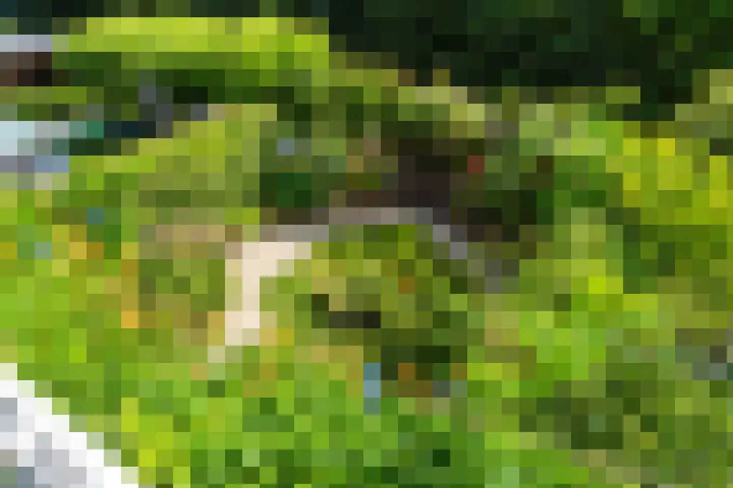 Essenlaan 51 Woerden thumbnail 55