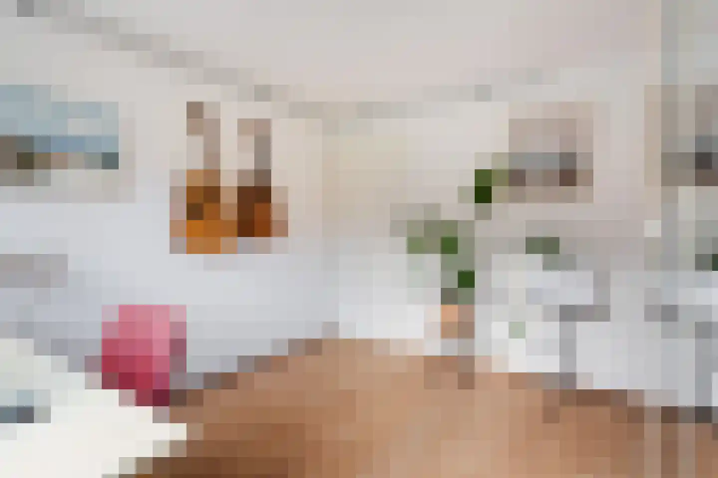 Essenlaan 51 Woerden thumbnail 57