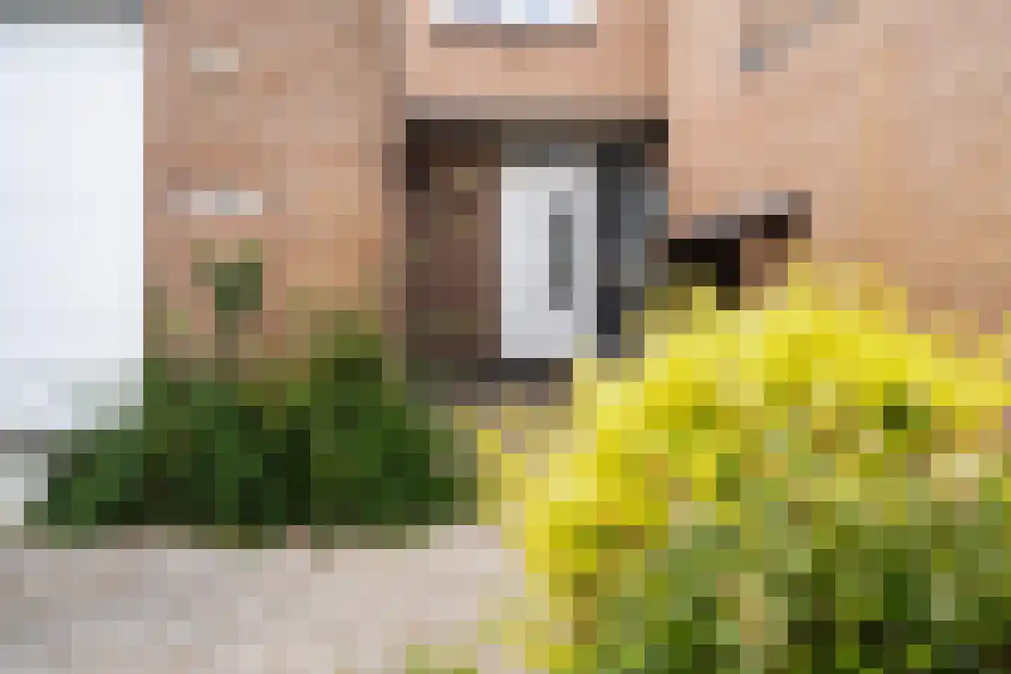 Essenlaan 51 Woerden thumbnail 61