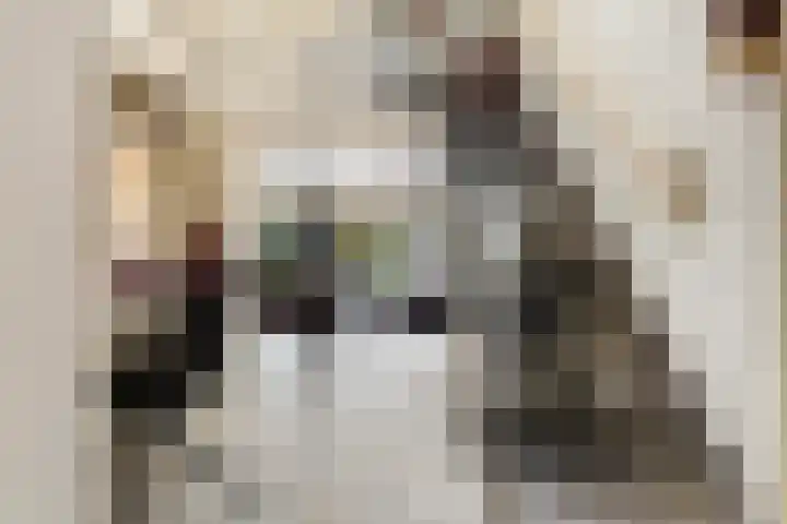 Essenlaan 55 Woerden thumbnail 14