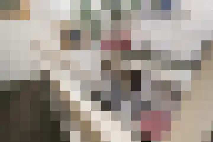 Essenlaan 55 Woerden thumbnail 16