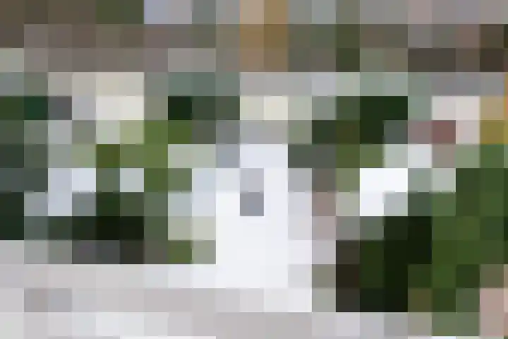 Essenlaan 55 Woerden thumbnail 24