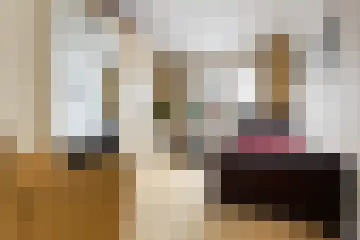 Essenlaan 55 Woerden thumbnail 26