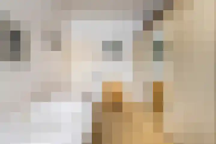 Essenlaan 55 Woerden thumbnail 27