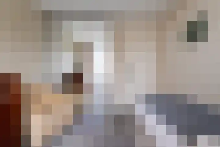 Essenlaan 55 Woerden thumbnail 32