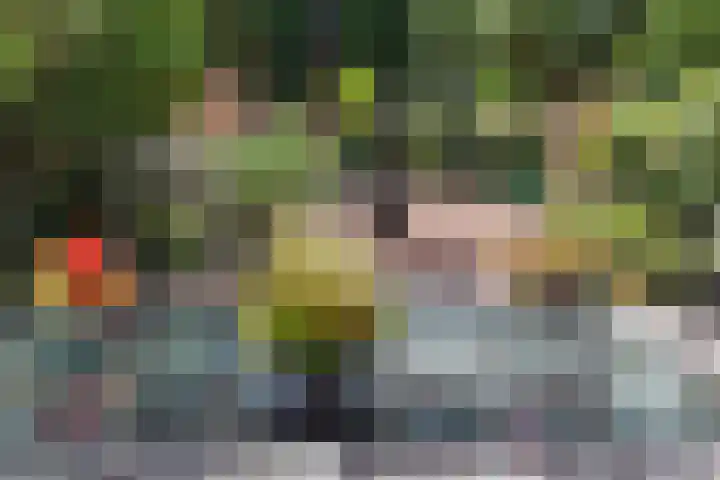 Essenlaan 55 Woerden thumbnail 38