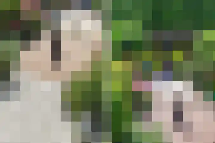 Essenlaan 55 Woerden thumbnail 39