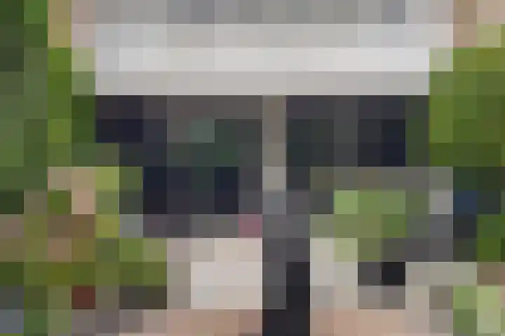 Essenlaan 55 Woerden thumbnail 41
