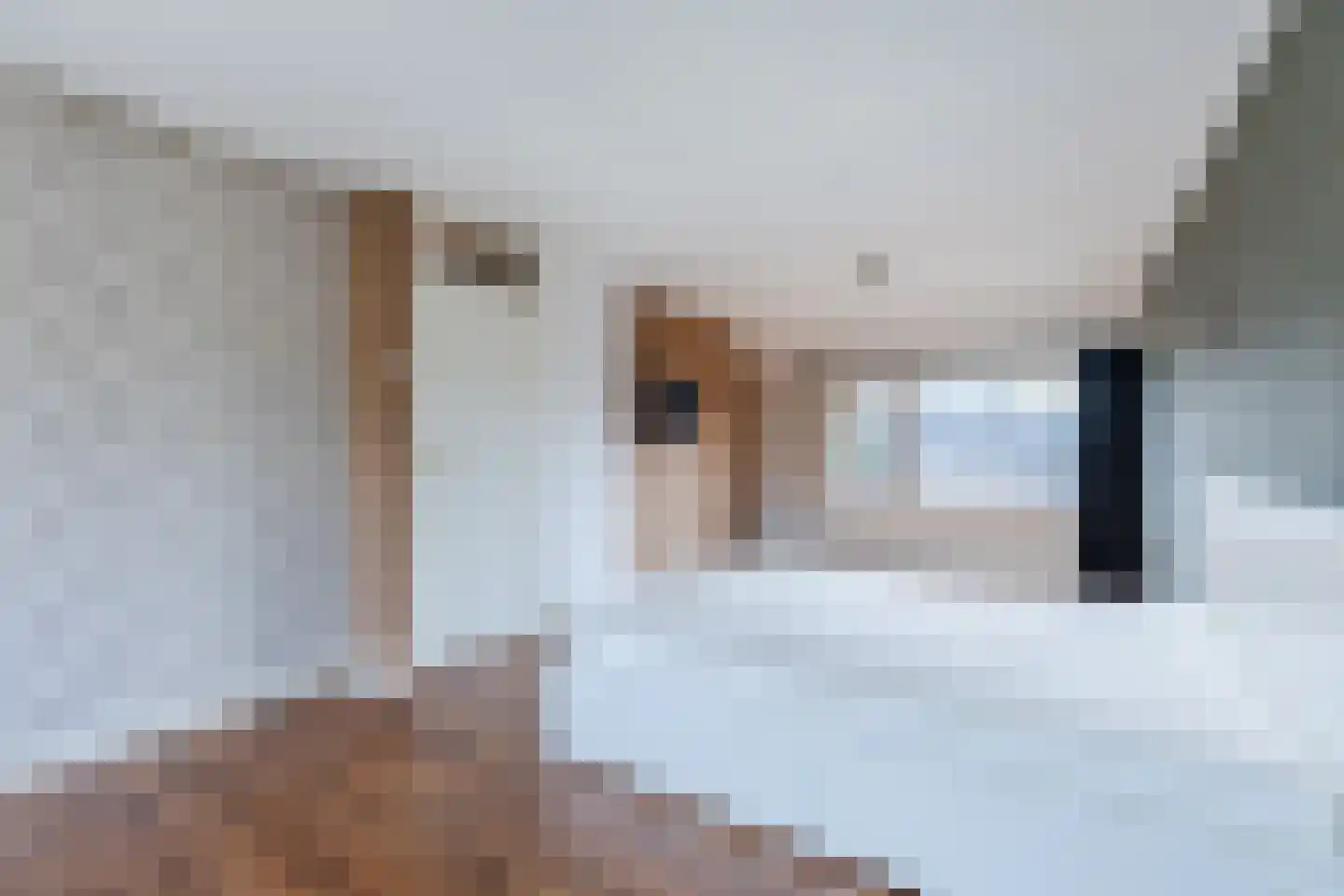 Essenlaan 6 Abbekerk thumbnail 27