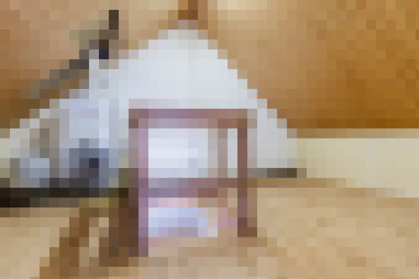 Essenlaan 6 Abbekerk thumbnail 37