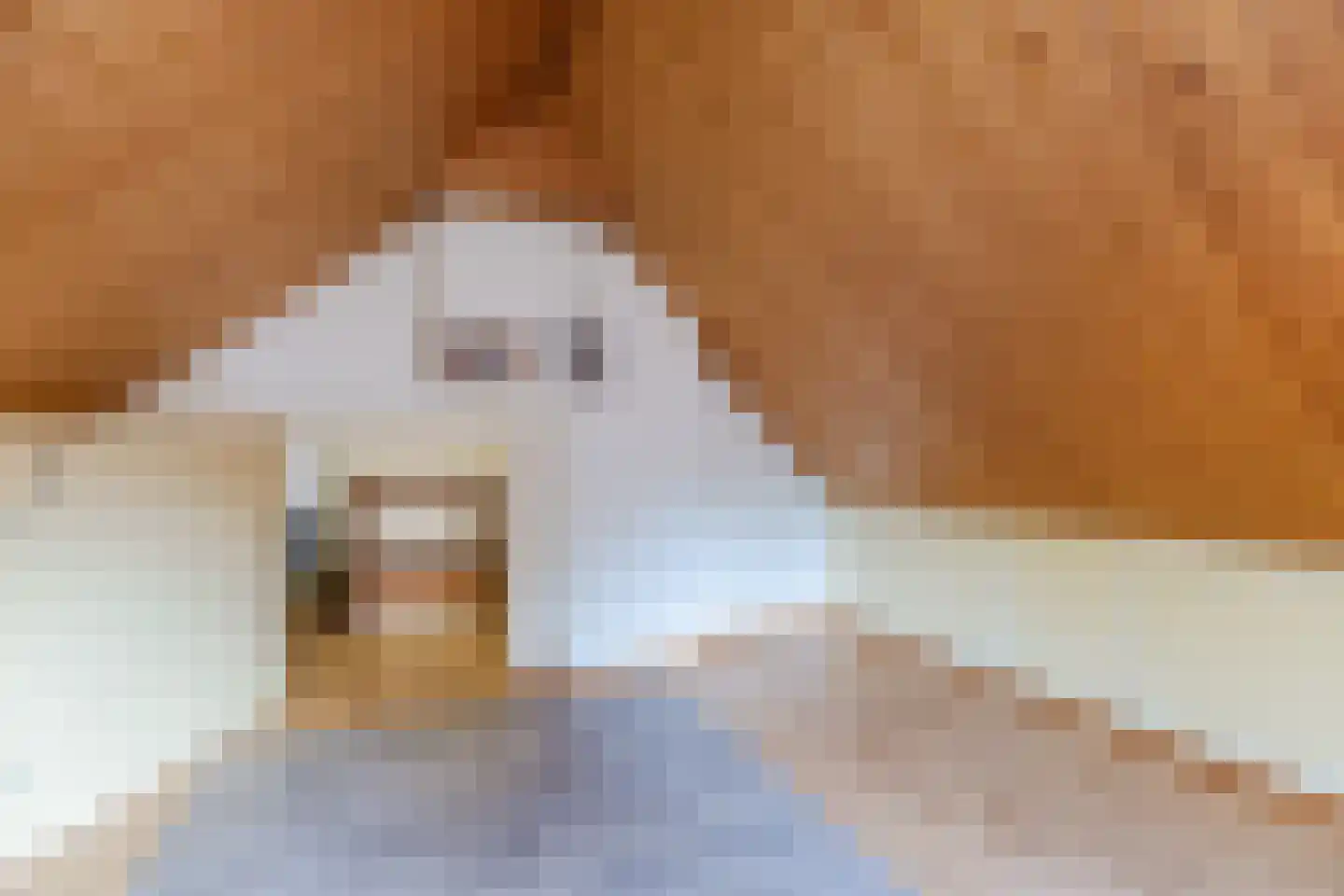 Essenlaan 6 Abbekerk thumbnail 38