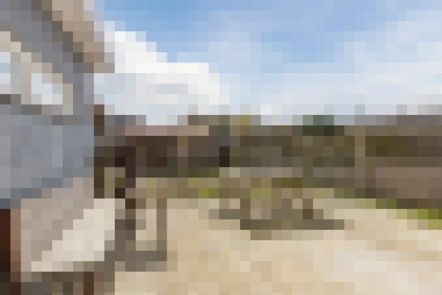 Essenlaan 6 Abbekerk thumbnail 39
