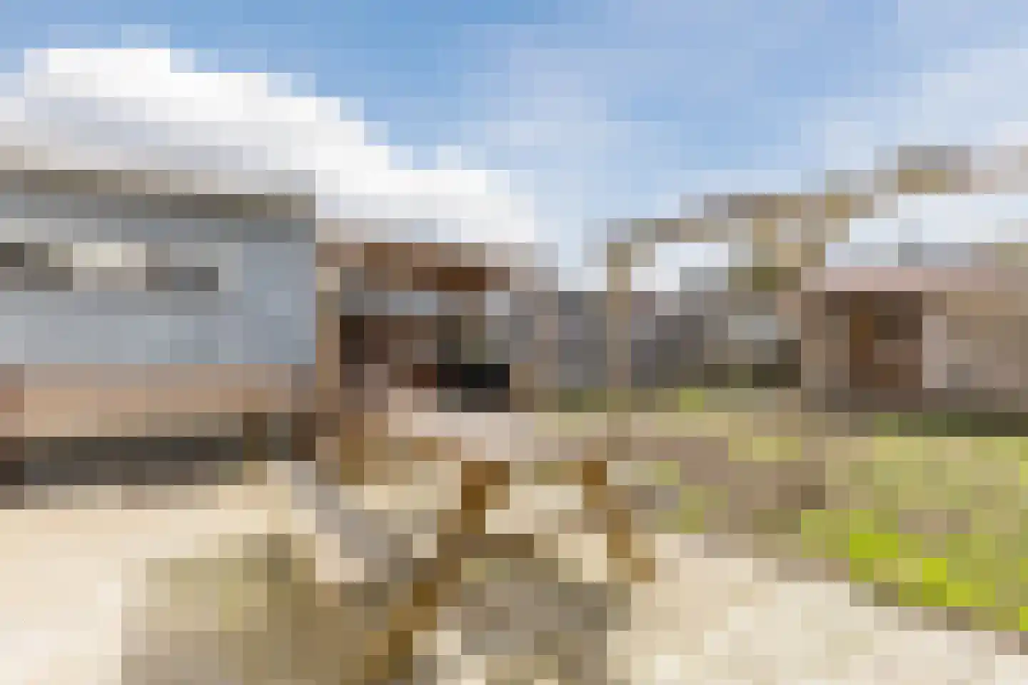 Essenlaan 6 Abbekerk thumbnail 40