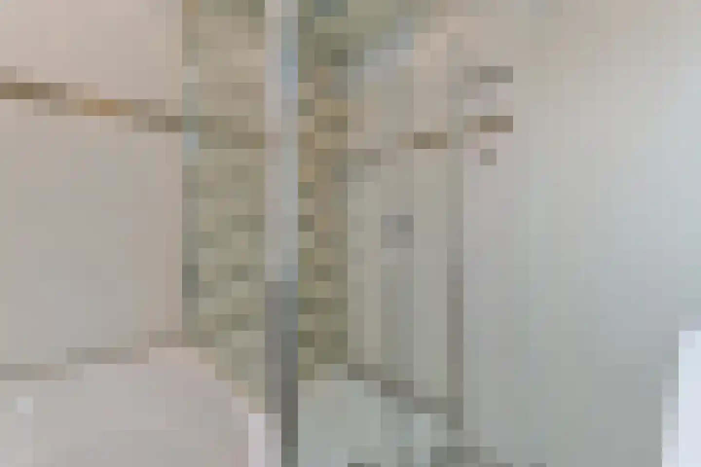 Essenlaan 6 B Ter Aar thumbnail 40
