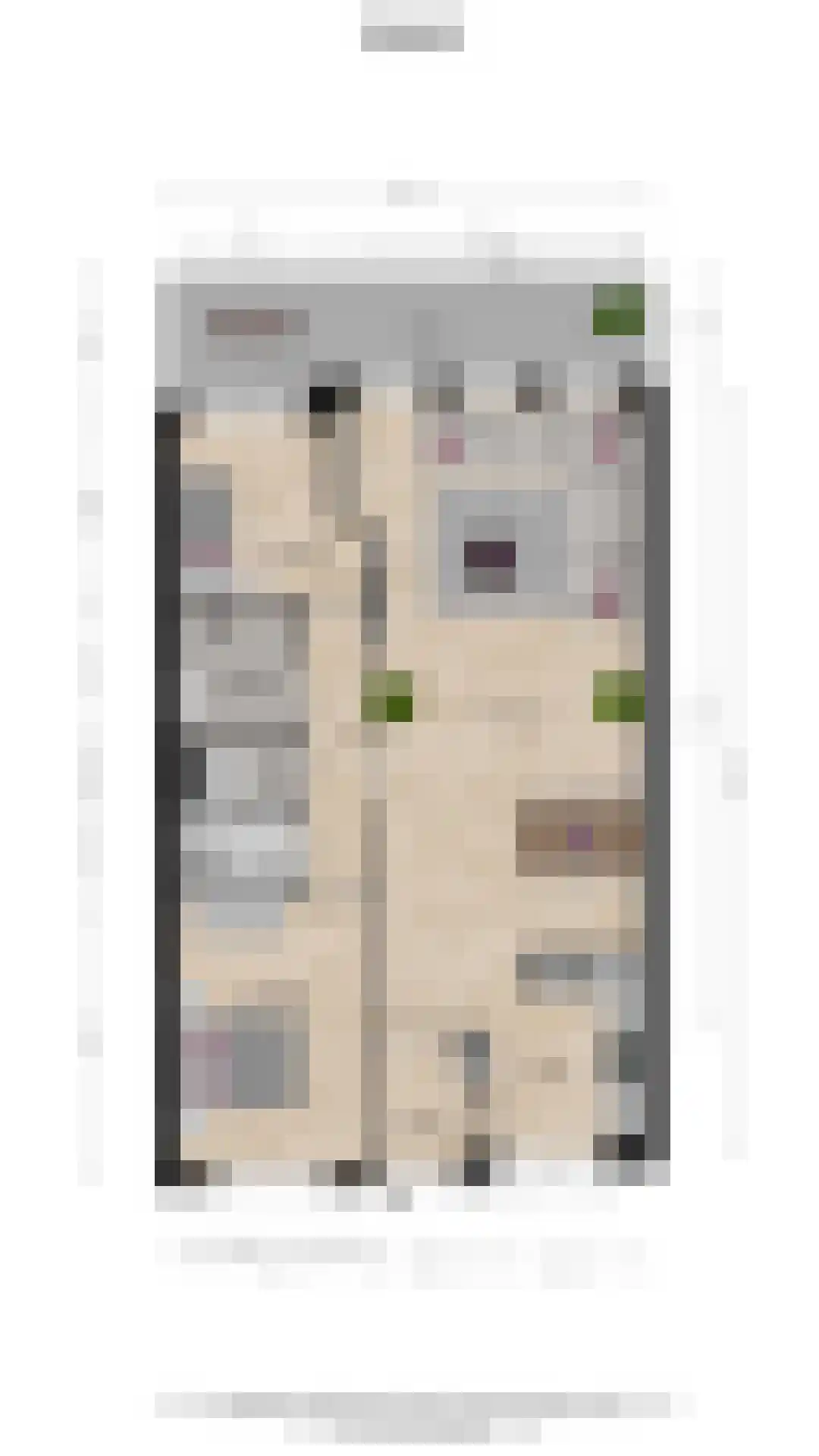 Essenlaan 6 E Ter Aar thumbnail 39