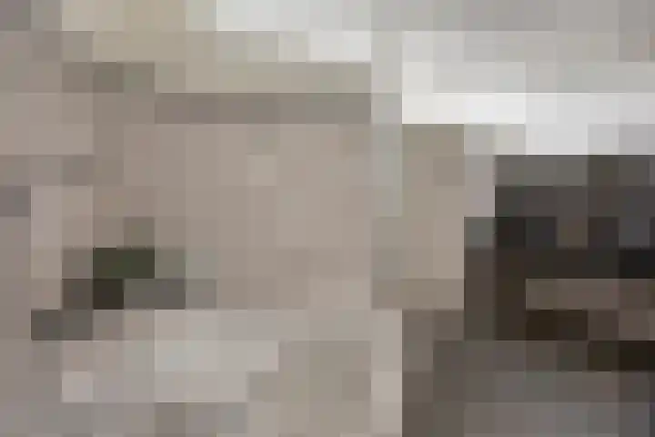 Essenlaan 71 Woerden thumbnail 24