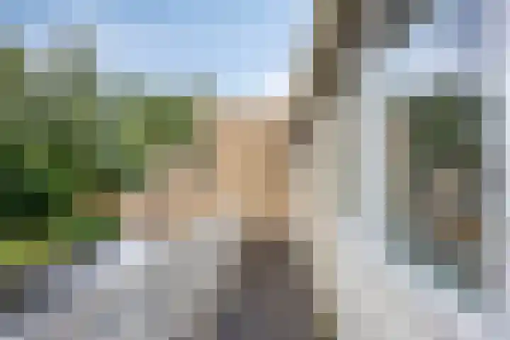 Essenlaan 71 Woerden thumbnail 25
