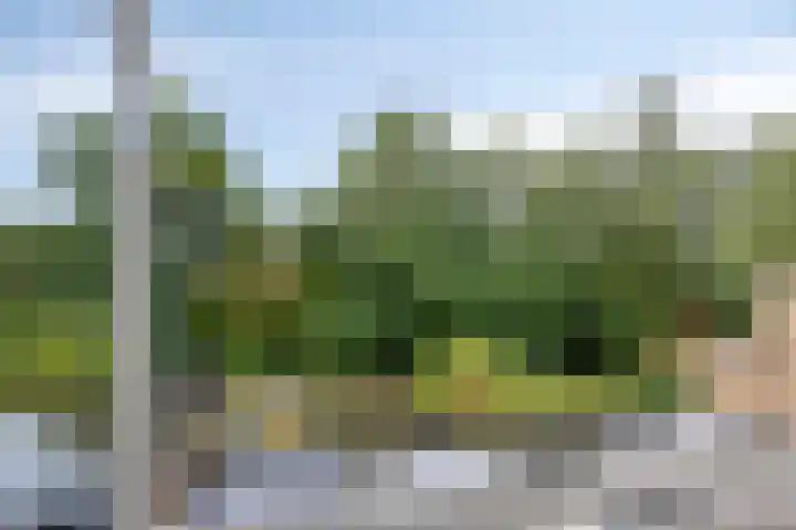 Essenlaan 71 Woerden thumbnail 26